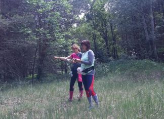 Okostelefonnal járhatjuk a Mérgesi erdőt – Tájékozódási futáshoz alkalmas pályákat jelöltek ki Pusztamérgesen