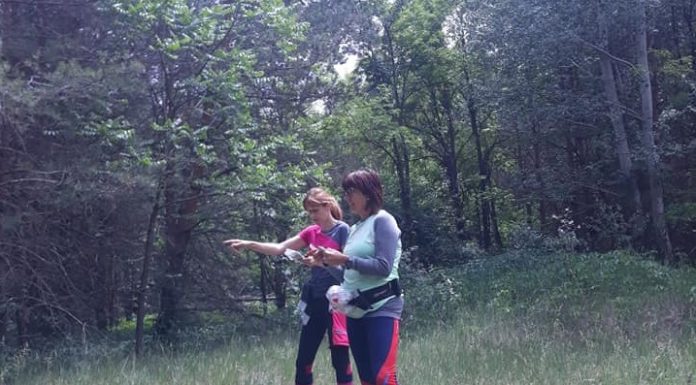 Okostelefonnal járhatjuk a Mérgesi erdőt – Tájékozódási futáshoz alkalmas pályákat jelöltek ki Pusztamérgesen