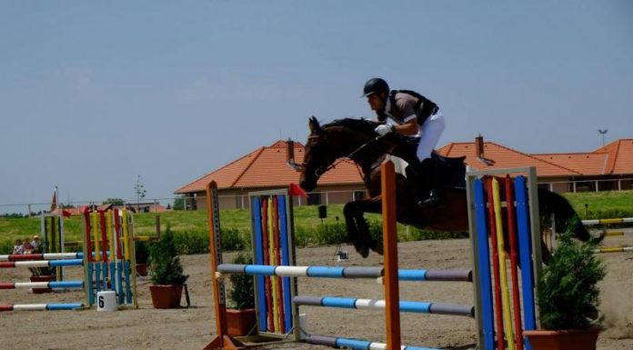 Díjugrató versenyt és szabadidős lovasversenyt rendeznek a hétvégén Mórahalmon
