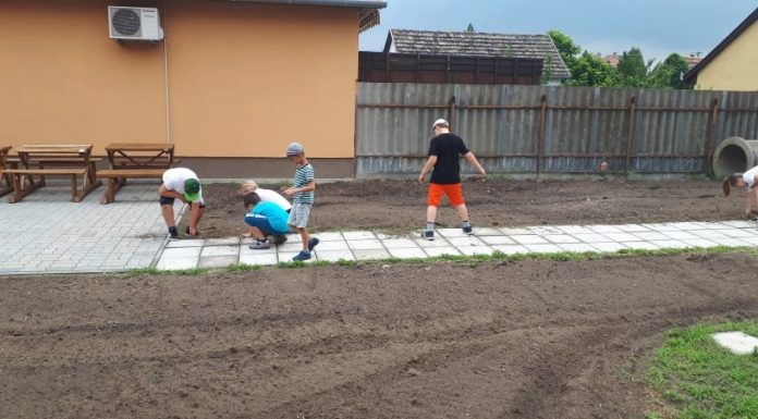 Alakul az iskolakert a mórahalmi Szent László Katolikus Általános Iskolában (Galéria)