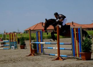 Szabadidős lovasversenyt és díjugrató versenyt rendeznek a hétvégén Mórahalmon
