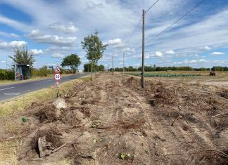 Épül a Kissori úti kerékpárút Mórahalmon (Galéria)