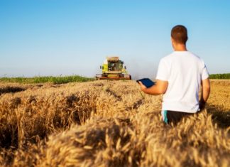 Folytatódik az agrárcenzus – Szeptember 19. és november 22. között összeírók keresik fel a gazdákat