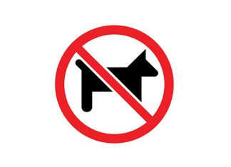 Ebzárlat és legeltetési tilalom Csongrád-Csanád megyében