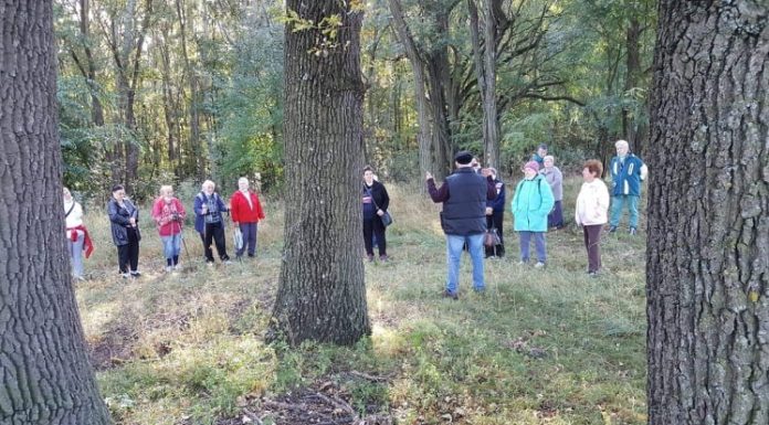 A „Hótt-fáknál” emlékeztek az aradi vértanúkra a pusztamérgesiek