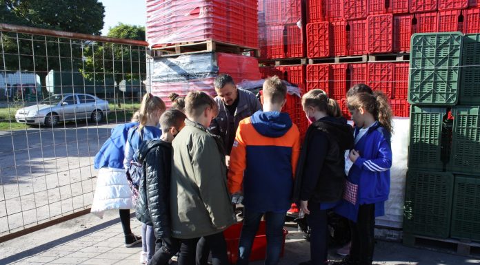 A ládagyári látogatástól az erdei iskolai tanyamúzeumig – Pályaorientációs nap mórahalmi diákoknak