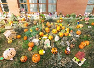 A sándorfalvi diákok és szüleik közösen faragtak házikót az „Öko Manónak”