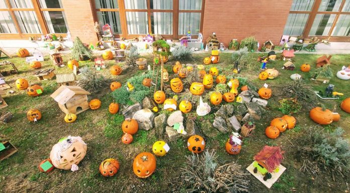 A sándorfalvi diákok és szüleik közösen faragtak házikót az „Öko Manónak”