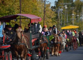 A hétvégén rendezik meg a IV. Fogatos és Szüreti Fesztivált Domaszéken