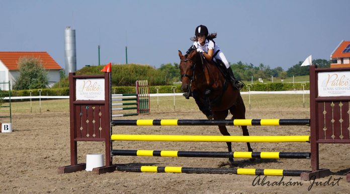 Csongrád megyei díjugrató döntőt rendeznek a hétvégén Mórahalmon