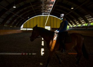 Speciális asszisztenseket képeznek Mórahalmon