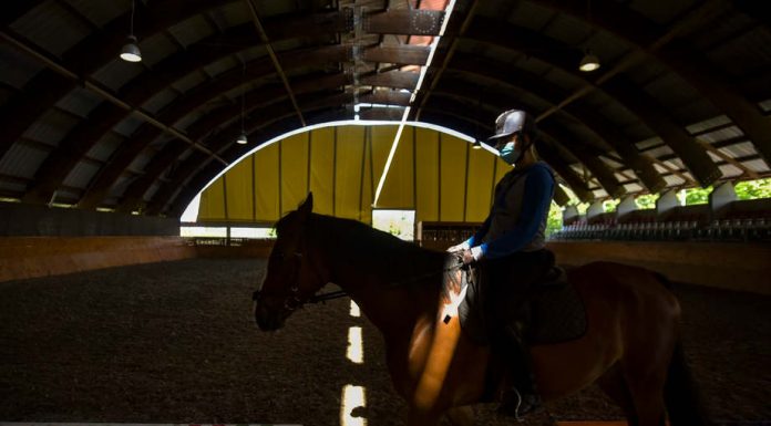 Speciális asszisztenseket képeznek Mórahalmon