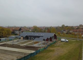 Tavasszal nyit a Virágátrium Mórahalmon – Hosszú volt az út a szobányi virágüzlettől a 400 négyzetméteres kereskedésig (VIDEO)