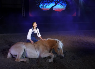 A Rózsa Sándor, az alföldi betyár története december 29-én lesz látható a Móra-Net Tv-ben