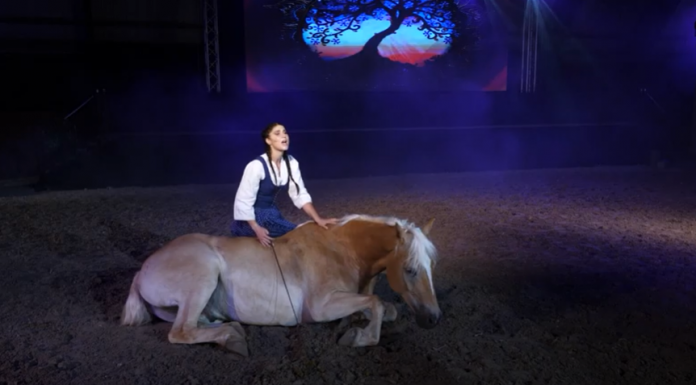 A Rózsa Sándor, az alföldi betyár története december 29-én lesz látható a Móra-Net Tv-ben