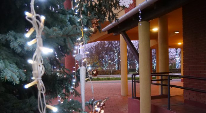 Áldott és szeretetben gazdag karácsonyi ünnepeket kíván a Móra-Net Tv csapata!