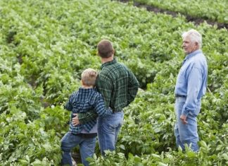 Új lendületet kap a magyar agrárium