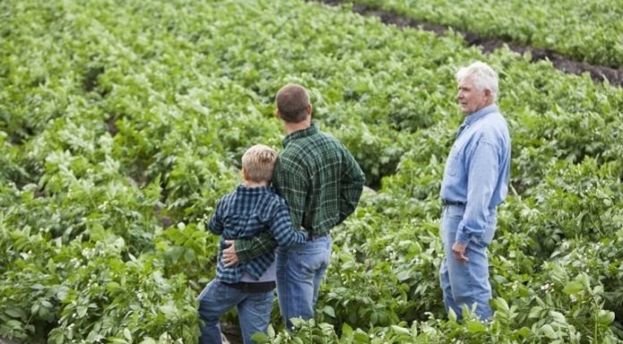 Új lendületet kap a magyar agrárium