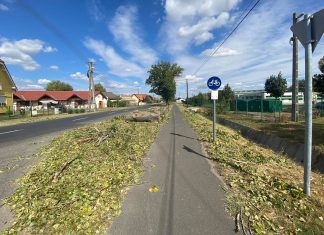 A Homokhátság településeinek nagy részén kerékpárút épül az idei évben