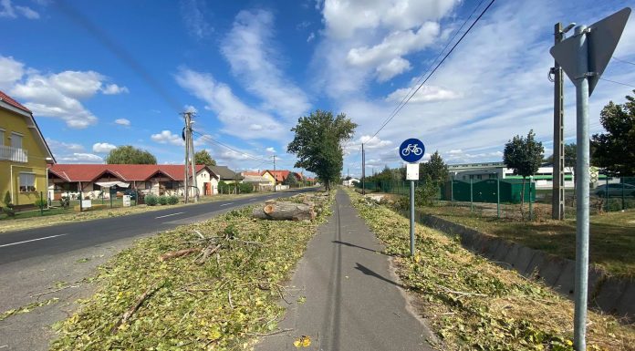 A Homokhátság településeinek nagy részén kerékpárút épül az idei évben