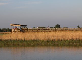 Online egyeztetést tartottak a homokháti túraszervezők – 2021-ben is folytatódik az „Értékeink nyomában” túrasorozat (Galéria)