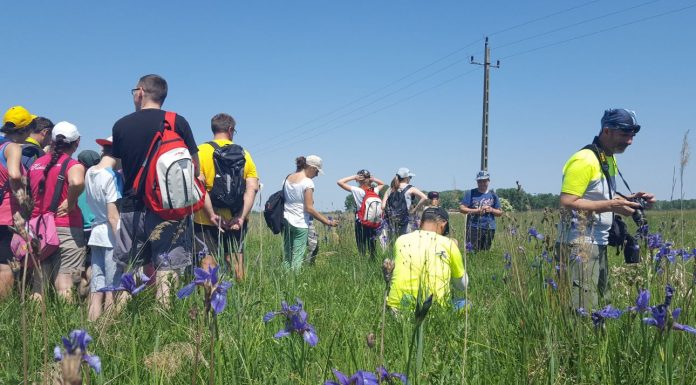 A bivalytúrától a „botkóstolóig” – tovább fejleszti túrakínálatát Mórahalom
