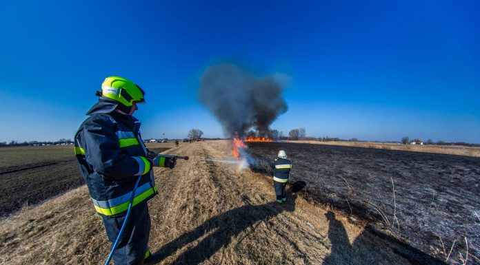 Tűz, nádastűz, ellentűz – a szabadtéri tüzek oltását gyakorolták Mórahalomnál (Galéria)