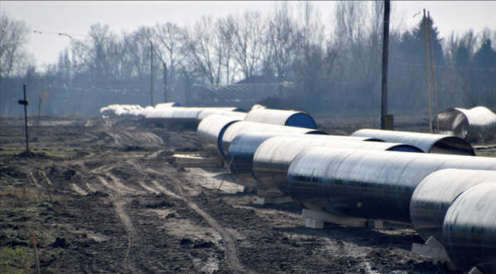 Domaszék területét is érinti a Magyarországot Szerbiával összekötő gázvezeték kiépítése