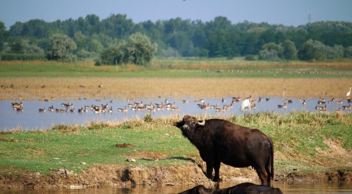 Móra-Túra kihívás – Ha a túrázó fotókat készít a megadott pontokon, a kirándulás élménye mellett egyéb jutalomban is részesül