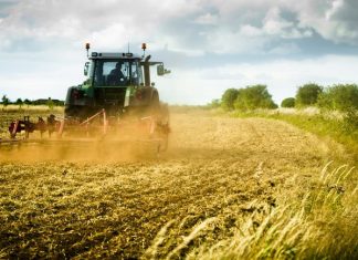 A Nemzeti Agrárgazdasági Kamara hírei: őstermelői hírek, támogatások, nitrát adatszolgáltatás