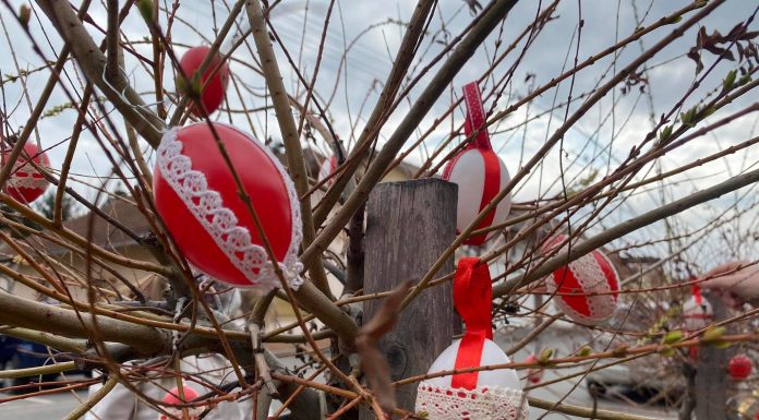 Tojásfákat díszítenek a térség településein