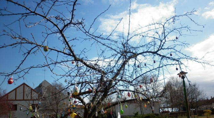 Hagyományörző húsvéti sétára várják az érdeklődőket Zákányszéken
