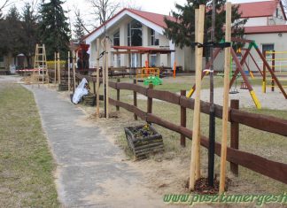 Pusztamérges 21 új fával gyarapodott a Településfásítási Program révén