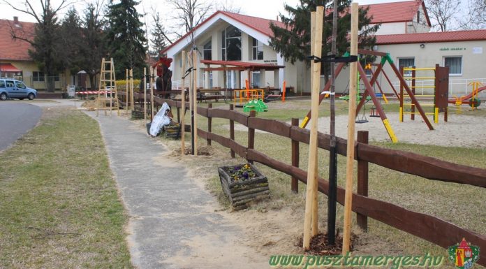 Pusztamérges 21 új fával gyarapodott a Településfásítási Program révén