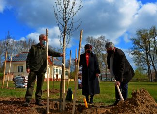 30 díszfát ültettek el Sándorfalván