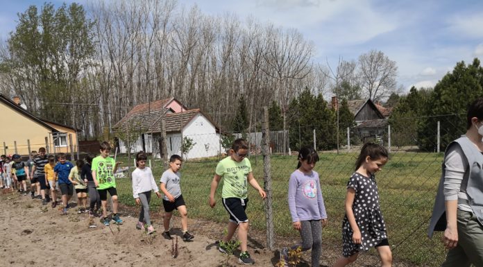 Érzékszervek növényhatározó ösvénye a mórahalmi iskolakertben