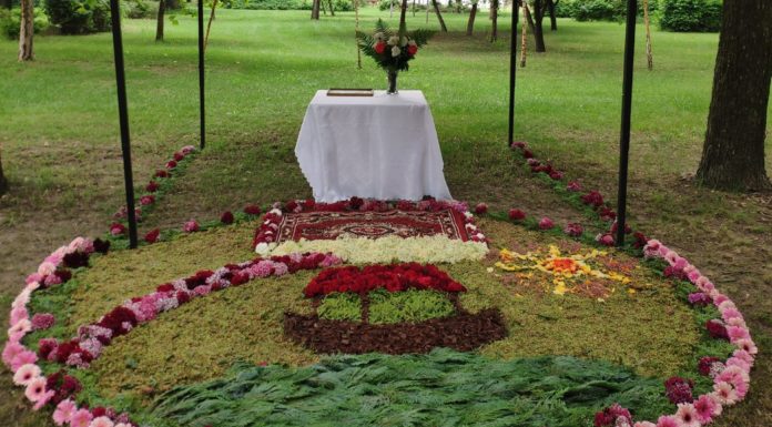 Virágszőnyeg összefogásból Zákányszéken (Galéria)