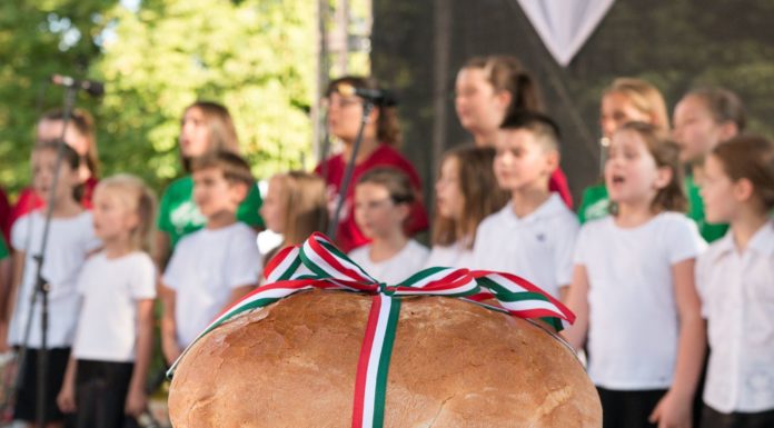 Mórahalmon is gyűjtik a gabonát a Magyarok Kenyeréhez
