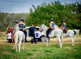 Országos Polgárőr Nap lesz Mórahalmon augusztus 14-én