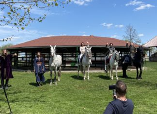 Aladdin az újak között debütál Mórahalmon – A hétvégén indulnak a lóháton bemutatott előadások