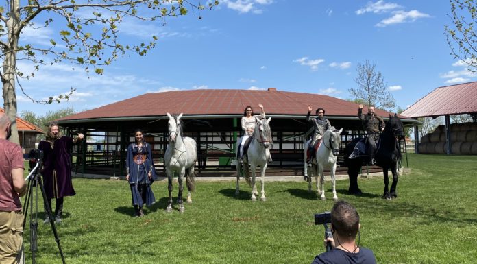 Aladdin az újak között debütál Mórahalmon – A hétvégén indulnak a lóháton bemutatott előadások