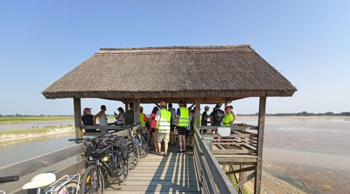 Két keréken Magyarkanizsa és Mórahalom között