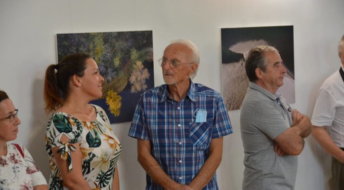 Fotóhetet tartanak Sándorfalván