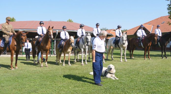 30 éves a magyar polgárőrség – Születésnapjukat ünnepelték Mórahalmon