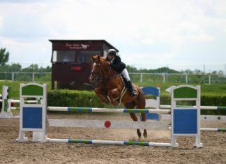 Megyei díjugrató döntő lesz a hétvégén Mórahalmon