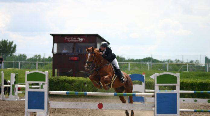 Megyei díjugrató döntő lesz a hétvégén Mórahalmon