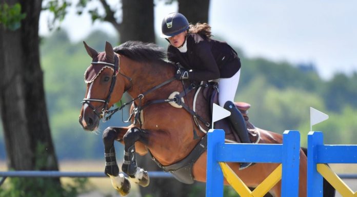 A mórahalmi Kiss Maja megnyerte a gyermek országos bajnokságot