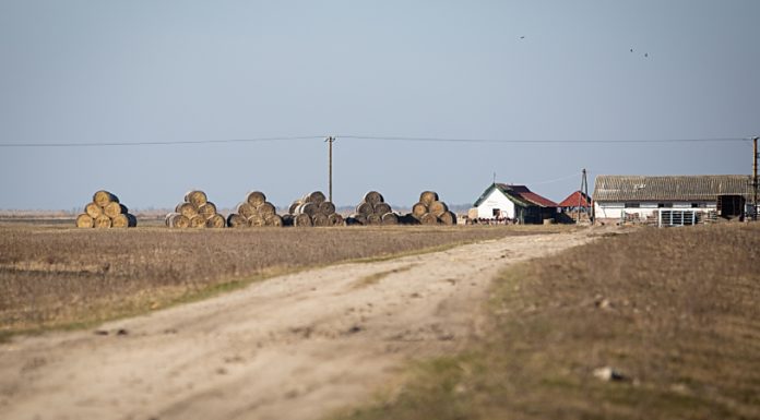 Hatalmas az érdeklődés a tanyafejlesztési program forrásaira