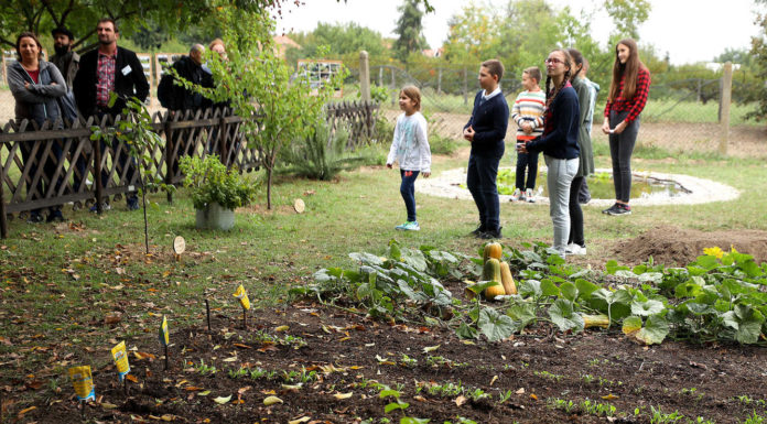 Az általános iskola biokertje is bemutatkozott – Országos iskolakert találkozó Zákányszéken