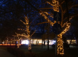 Online szavazhatunk rájuk vagy Buba busszal körbe is járhatjuk Mórahalom ünnepi fényeit